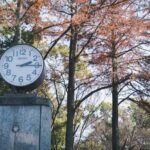 童貞は何歳までOK？リアルな女性の反応と「限界ライン」を年齢データで解説