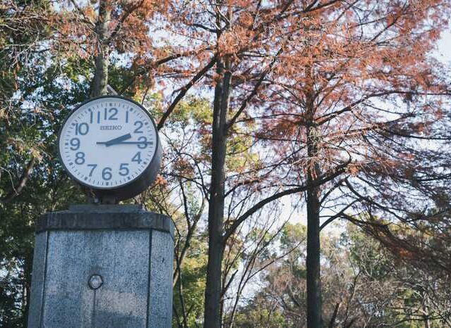 童貞は何歳までOK？リアルな女性の反応と「限界ライン」を年齢データで解説